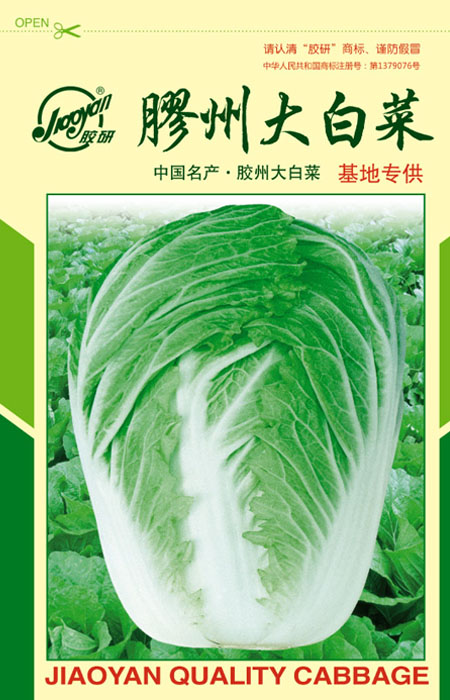 胶州大白菜——秋播白菜